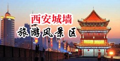 无吗骚鸡巴中国陕西-西安城墙旅游风景区
